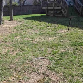 Leaf Removal by Haymes Grass Grooming reviewed on September 13, 2025