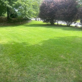 landscape maintenance by We Are The Best Lawn Services reviewed on August 20, 2025