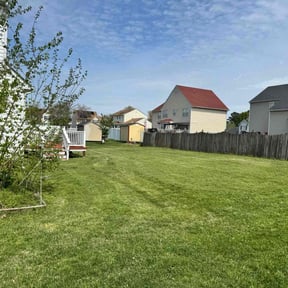 turf care by W. D. Giampa Lawn & Landscapes, INC. reviewed on August 16, 2023
