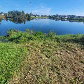 Bush Trimming by Ruben&#039;s Landscaping reviewed on October 24, 2025
