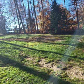 Leaf Removal by Scott Bensing Lawn Care reviewed on October 19, 2025