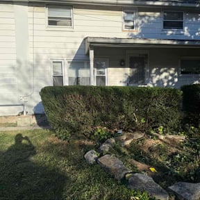 Bush Trimming by One Tuff Mama Roofing and Landscaping  reviewed on December 11, 2025