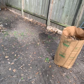 Leaf Removal by MowDeal reviewed on September 14, 2025