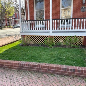 gardening service by Lawn Impression reviewed on August 15, 2025