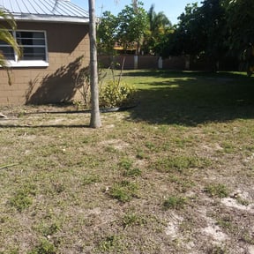 Bush Trimming by GR United lawn care llc reviewed on August 19, 2025