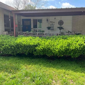 Bush Trimming by classic cuts lawn care reviewed on August 16, 2025