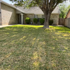 Leaf Removal by Together Family Landscapes LLC reviewed on September 21, 2025