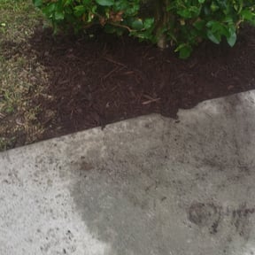 Flower Bed Weeding by Watson Yard Works reviewed on August 19, 2025