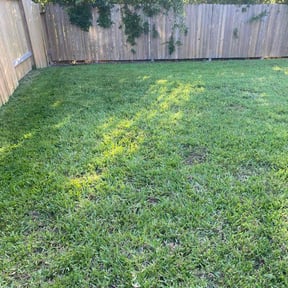 gardening service by Clear cut lawn and landscape reviewed on August 20, 2025