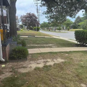 Leaf Removal by Rush Lawn Service reviewed on July 3, 2026