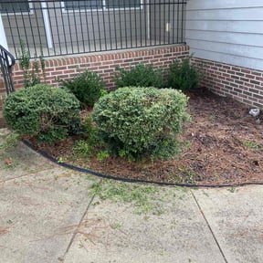 Bush Trimming by Hope’s Lawncare reviewed on November 5, 2025