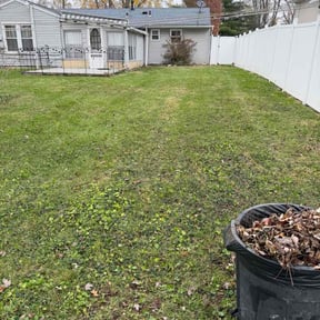 Leaf Removal by Mightyfine professional  services reviewed on November 19, 2025