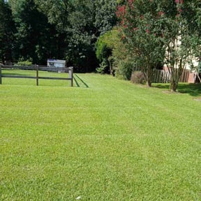 yard work by Quick cut reviewed on August 16, 2025