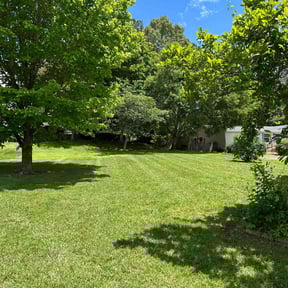 landscaping by Affordable Lawn Care reviewed on November 22, 2025