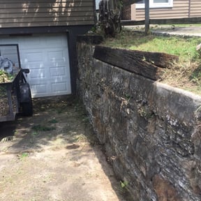 Bush Trimming by Earthly Services reviewed on August 19, 2025