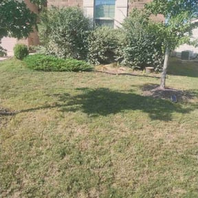 Bush Trimming by JLS Lawn Care reviewed on August 20, 2025