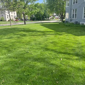 yard care by GAMA Lawn Care Services reviewed on August 16, 2025