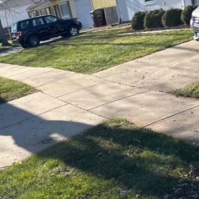 Leaf Removal by Lowcountry yard maintaince reviewed on December 2, 2025