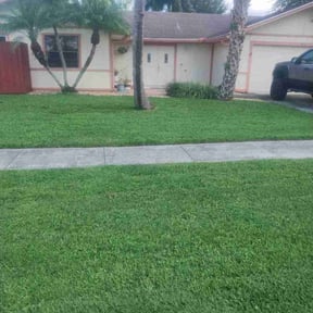 grass maintenance by Madissons Green reviewed on November 12, 2024