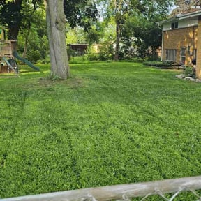 landscaping by Krispy Kutz LLC reviewed on December 18, 2025