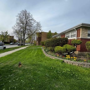 yard work by Virgil lawn service reviewed on August 17, 2025
