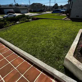 landscaping by 1970 reviewed on August 16, 2025
