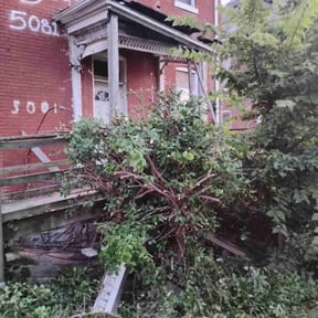 Bush Trimming by PJs T.L.C. reviewed on May 19, 2022