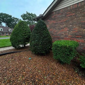 Bush Trimming by Eleazar&#039;s Lawn Care reviewed on November 9, 2025