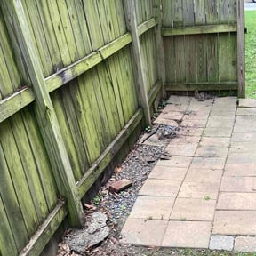 Leaf Removal by Budget Lawn Care reviewed on September 14, 2025