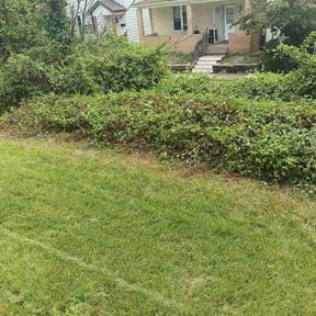 Bush Trimming by John's Lawn Care reviewed on August 20, 2026