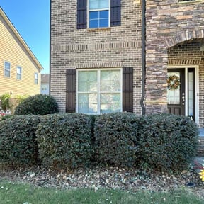 Bush Trimming by Abdu Lawn &amp; Landscape reviewed on October 21, 2025