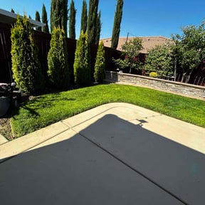 yard service by UNCLECURTS LLC reviewed on August 20, 2025