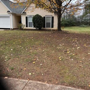 Bush Trimming by Danny’s Lawn Service reviewed on August 13, 2025