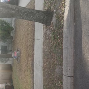 Leaf Removal by Nice yards reviewed on September 19, 2025