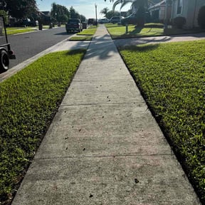 lawn care by Blue Scapes landscaping reviewed on September 30, 2023