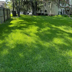 yard service by LLC reviewed on August 19, 2025