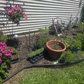 Flower Bed Weeding by Luisito Landscape reviewed on June 29, 2026
