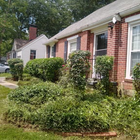 Bush Trimming by All Electric Landscaping reviewed on August 15, 2025