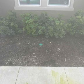 Flower Bed Weeding by Ben &amp; Jerry's Landscaping LLC reviewed on October 19, 2025