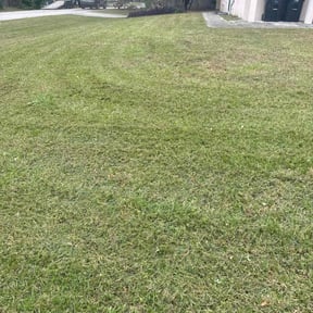 lawn care services by Mowing Maxx Lawn Care Services reviewed on March 9, 2024