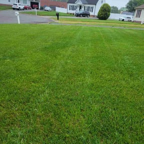 lawn care services by Christian Cuts Grass reviewed on March 13, 2024