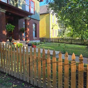 grass maintenance by Vega Lawn Care reviewed on August 19, 2025