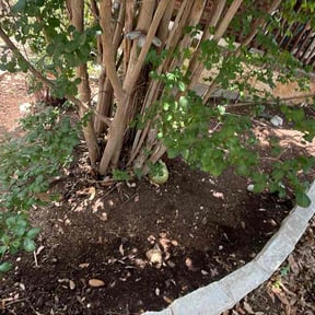 Flower Bed Weeding by Hill and valley landscape and lawn reviewed on May 13, 2026
