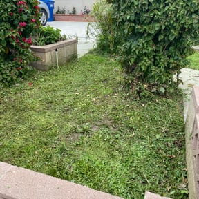 Bush Trimming by Lawns & Leaves, LLC reviewed on August 17, 2025