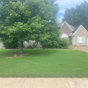 yard care by Raincrow Landscape and Mowing reviewed on August 15, 2025