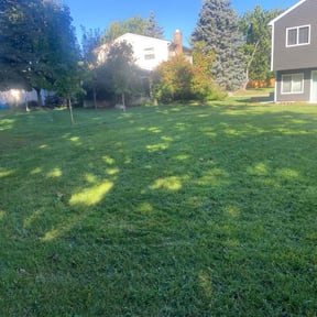 grass cutting by Do it all reviewed on April 26, 2024