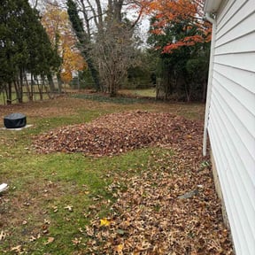 Leaf Removal by TOMS - Total Outdoor Maintenance reviewed on November 21, 2025