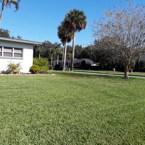 yard care by Greenview Lawn Solutions llc reviewed on August 18, 2025
