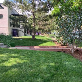 landscaping by Big 3 Lawns and Landscaping reviewed on August 19, 2025
