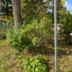 Bush Trimming by Lawn Care reviewed on May 9, 2024